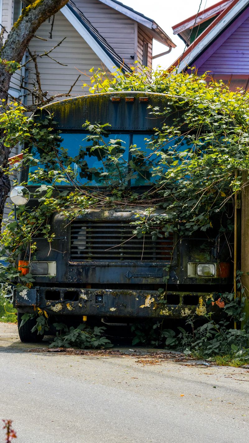Abandoned overgrown bus and yard debris ready for removal