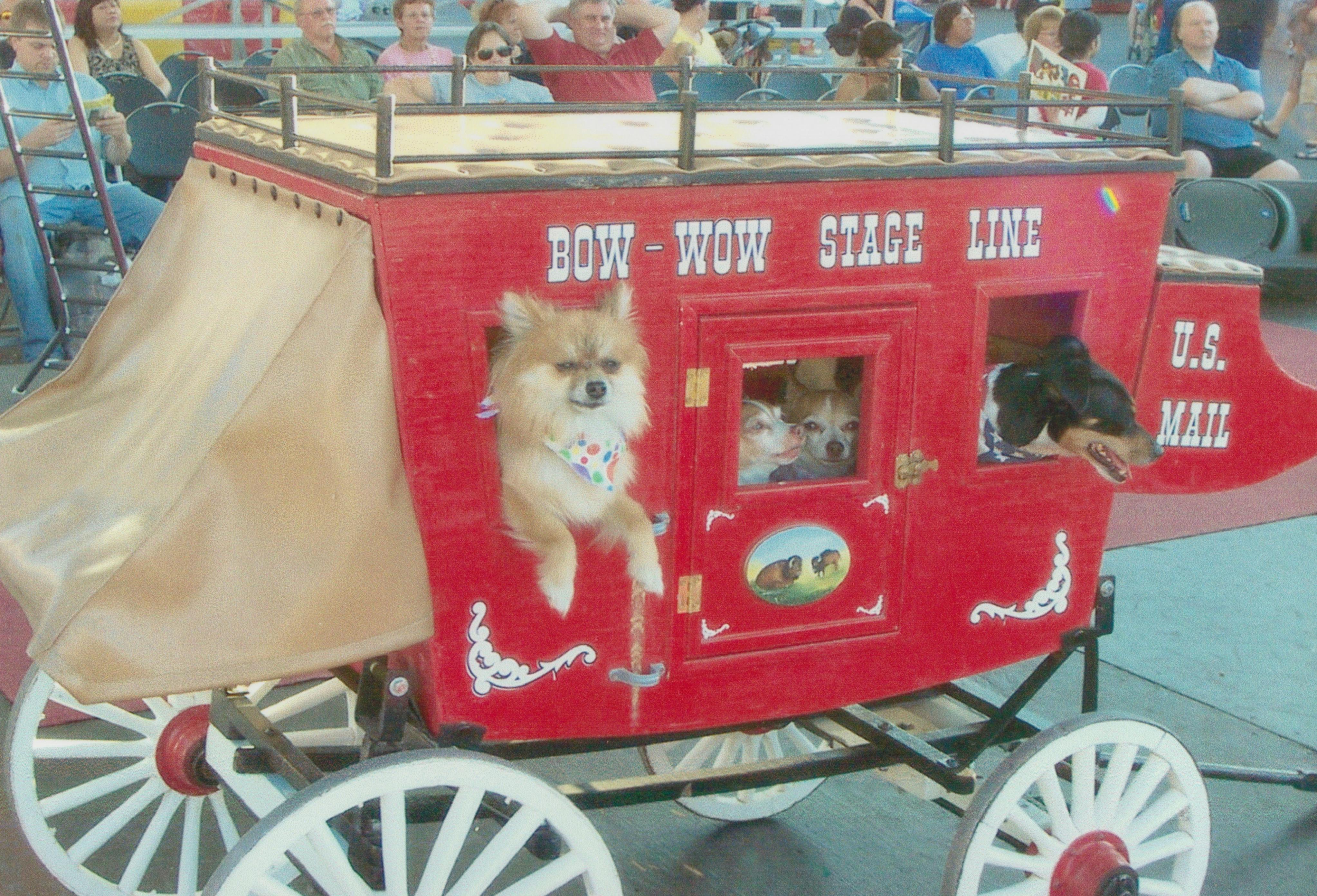 正在审阅合同的专业人士