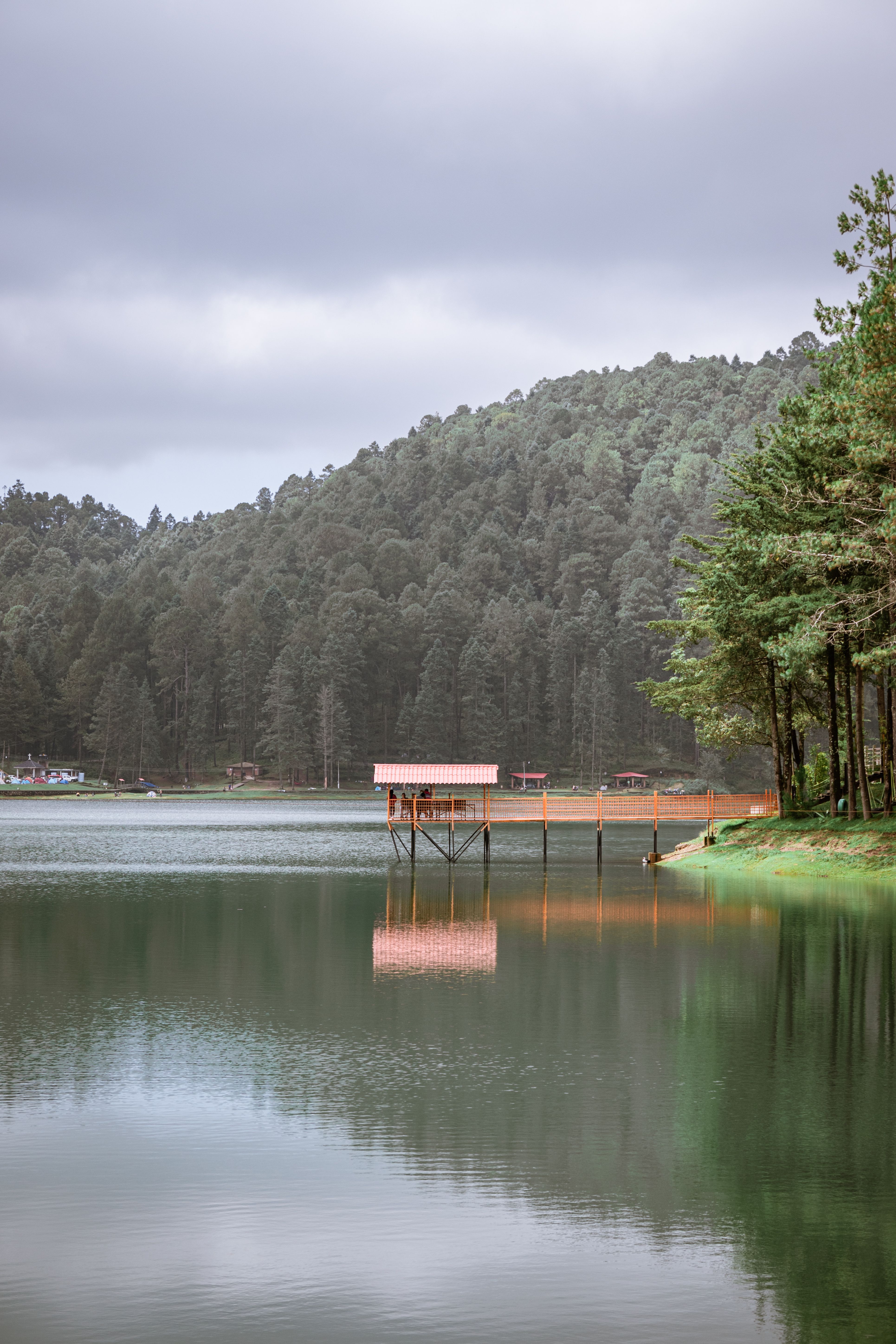 Lago rodeado de bosque en Michoacán.