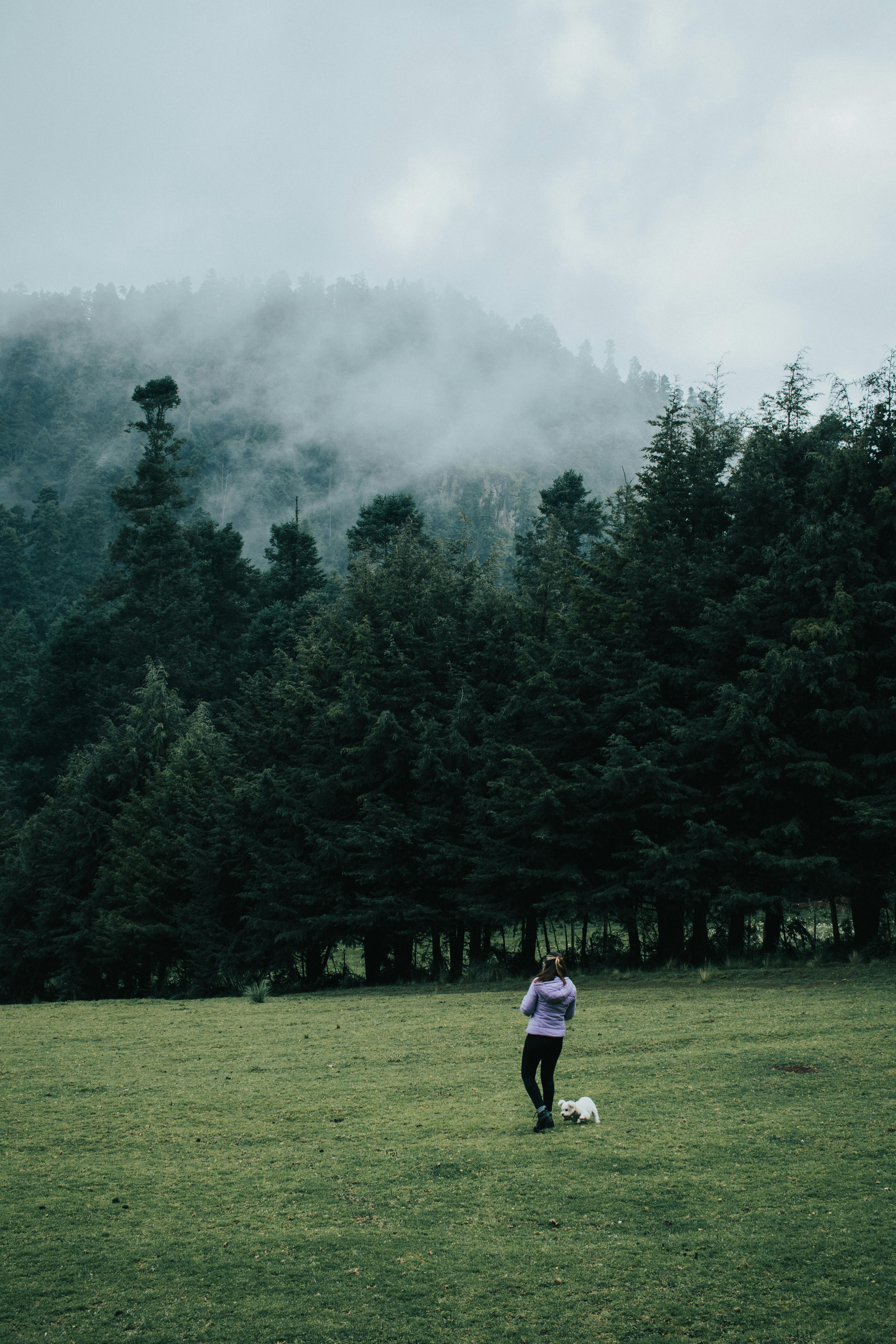 Bosque de los Dinamos - Ciudad de Mexico