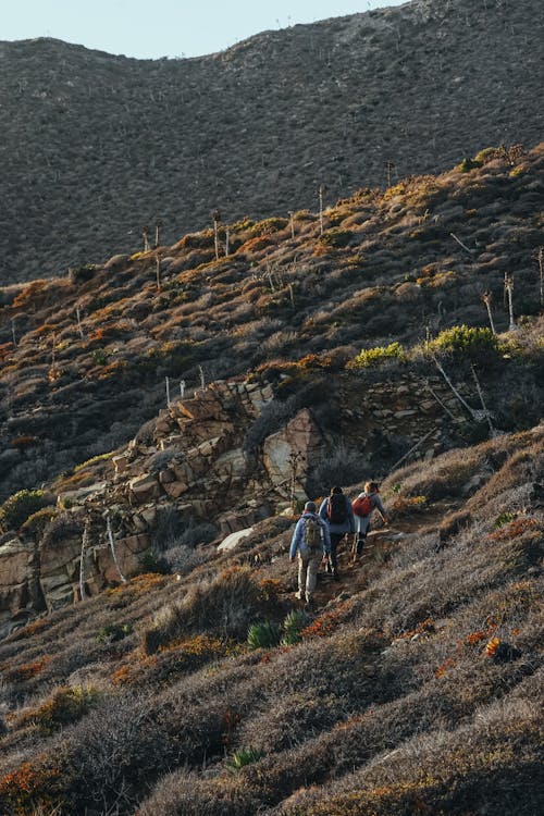 Foto d'estoc gratuïta de alpinisme, alpinistes, amant de la natura