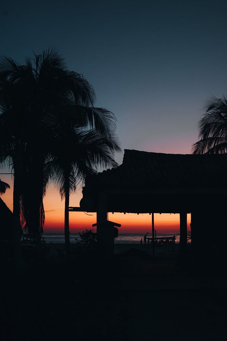 Night Landscape Of Tropical Beach