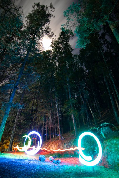Free A mesmerizing light painting captured in a dense forest at night in Los Azufres, Mexico. Stock Photo
