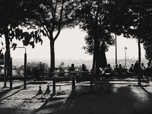 Grayscale Photograph of People in a Park