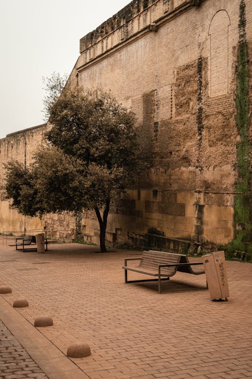 Brown Wooden Bench on the Street