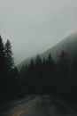 Free stock photo of adventure, aspen, asphalt road