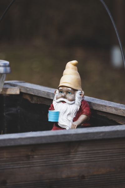 Click the garden gnome to reveal a swimming video