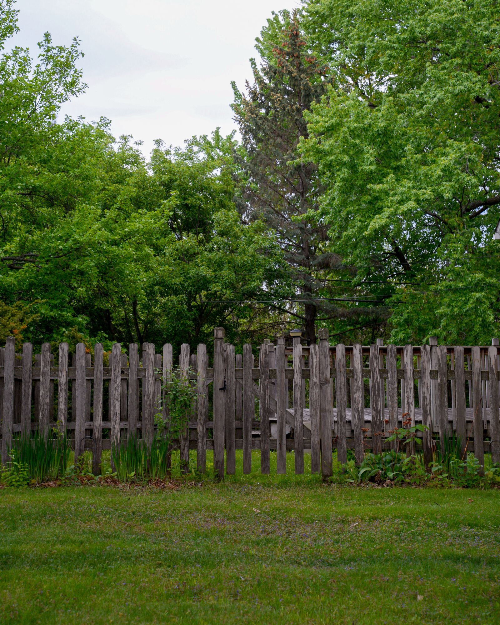 Old weathered wooden picket fence in backyard — Review Gating Rules: What's Allowed and What Gets You Penalized