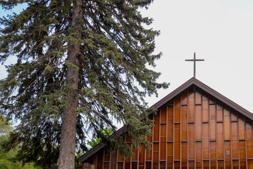 Free A wooden church with a cross on the roof next to a tall pine tree, symbolizing nature and faith. Stock Photo
