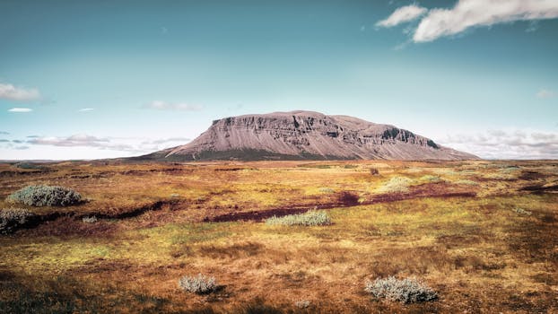 A scenic view of a rugged mountain surrounded by vast grassland and a clear sky.