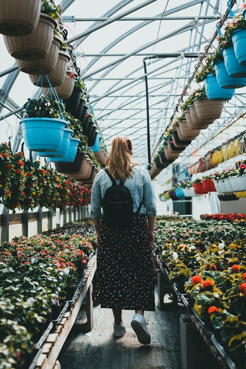 Gratis stockfoto met lopen, mevrouw, tuin