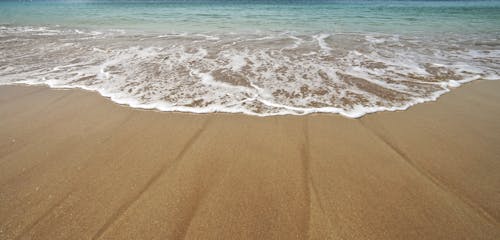 Washing Upon the Sandy Shore