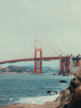 image.mefiz.com