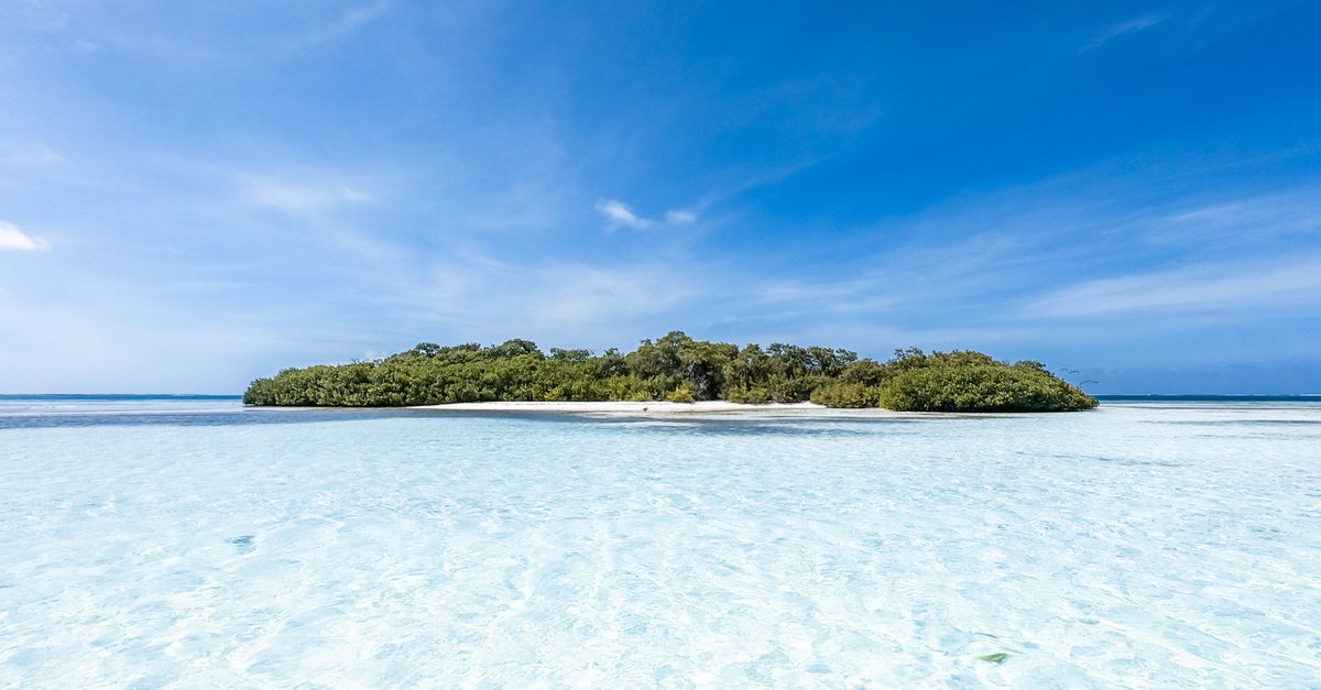 Photo of Tonga