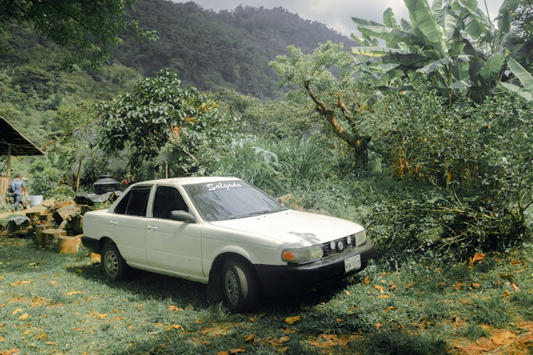 White Car In Yard