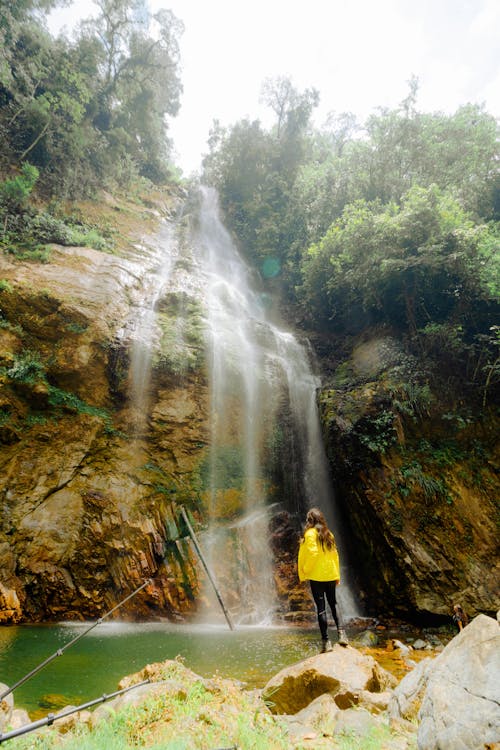 Foto stok gratis air, air terjun, aliran