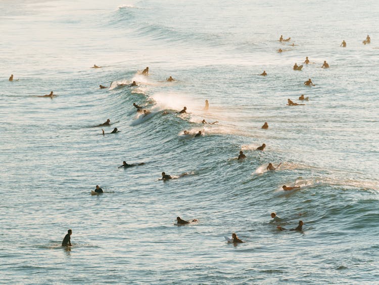 Surfers In Water Catching Waves