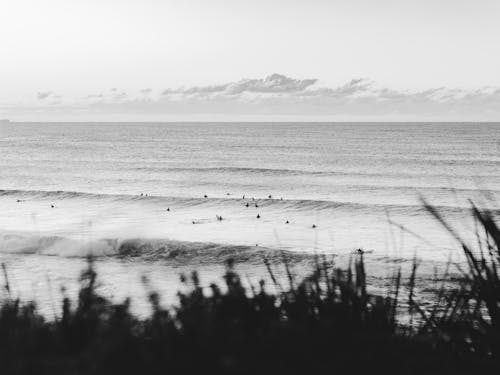 Free stock photo of bondi beach, coast, surf Stock Photo