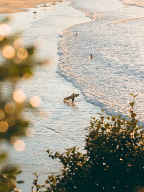 Immagine gratuita di bondi beach, commissioni, costa