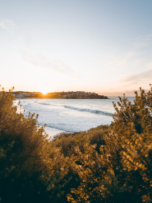 Ingyenes stockfotó beállítás, bondi beach, függőleges lövés témában