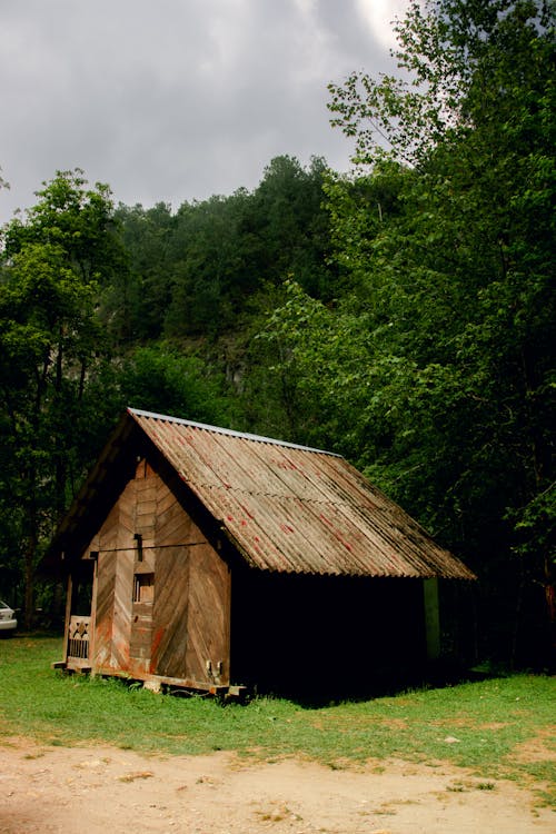 Foto profissional grátis de arquitetura, árvores, cabana