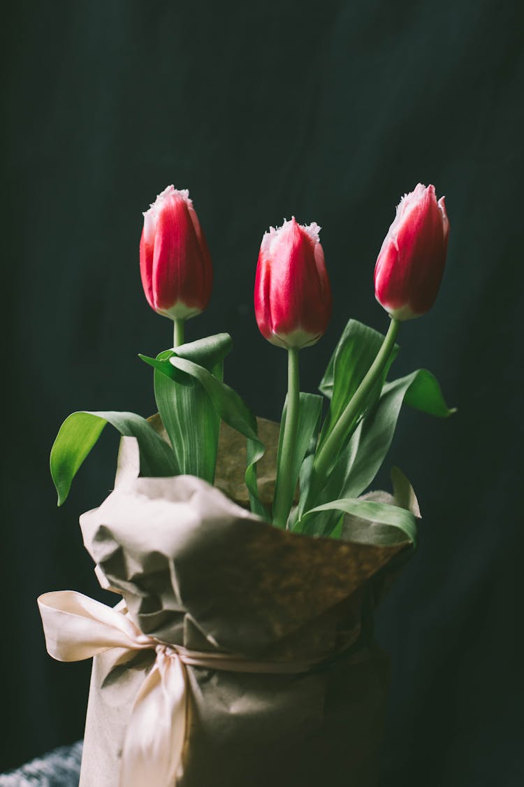 Pink Tulips In A Jar Wrapped In Paper