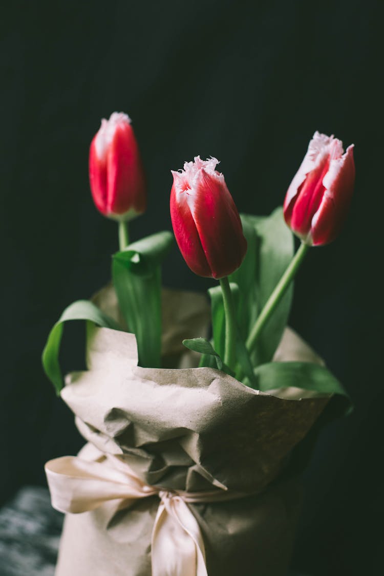 Pink Tulips In A Jar Wrapped In Paper