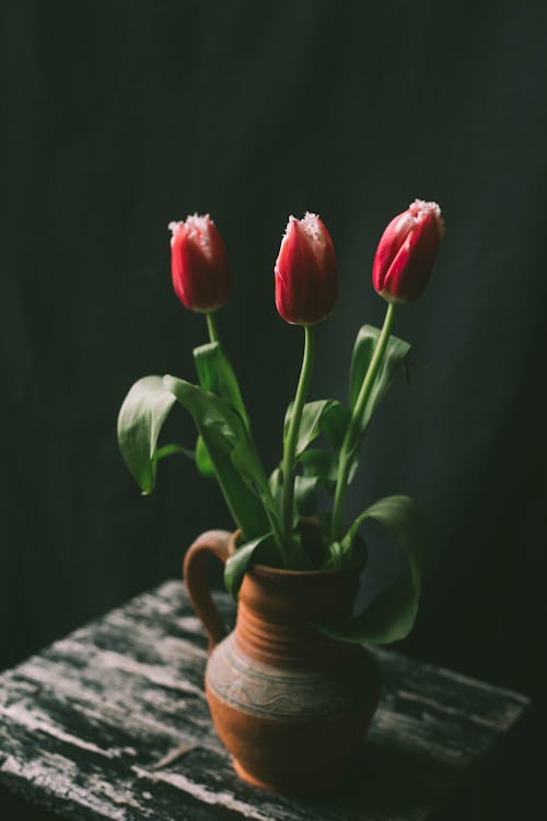 Pink Garden Tulip Flowers in Brown Ceramic Vase