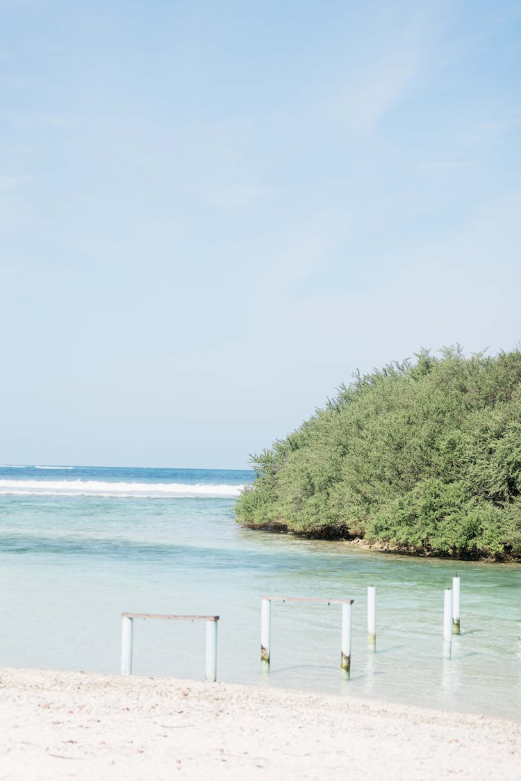 Wooden Posts On The Sea Shore