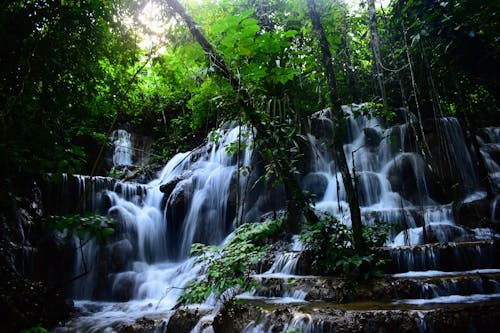 Бесплатное стоковое фото с вода, водопады, деревья
