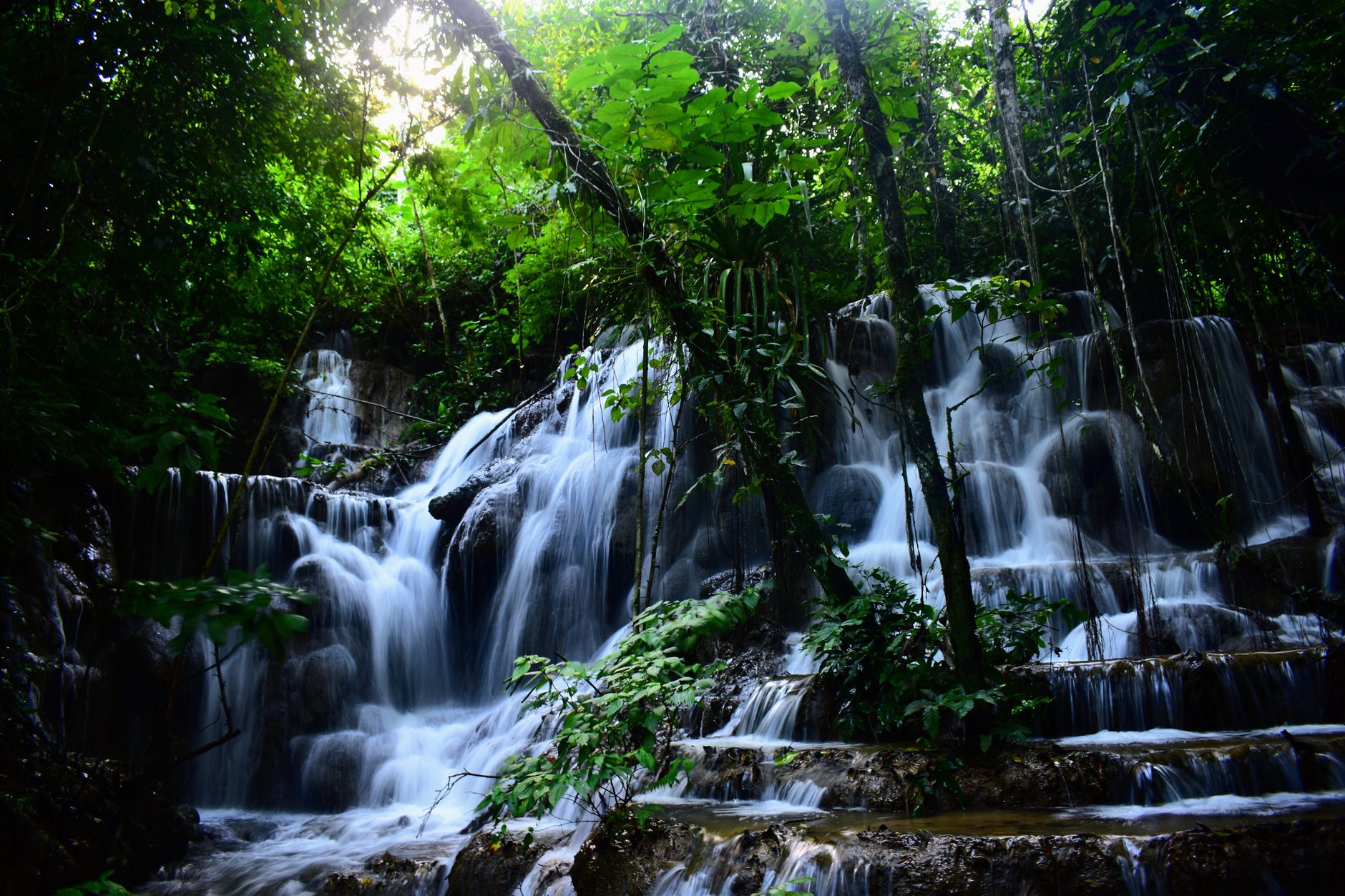 Beautiful waterfall cascading through the dense jungle in Chiapas, Mexico, showcasing nature's tranquility.
