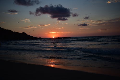 Kostnadsfri bild av färgglada solglasögon, gyllene solnedgång, strand solnedgång
