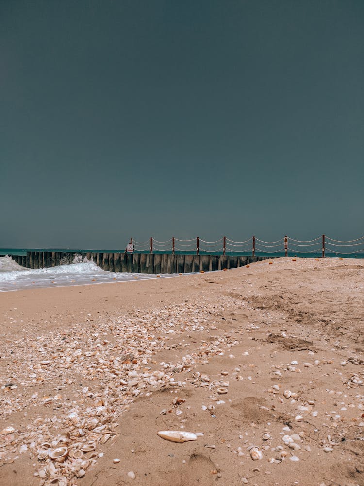 A View Of A Beach And Dock