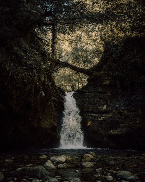 Photos gratuites de cascades, eau, eau qui coule