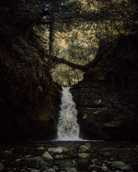 Tranquil waterfall flowing through a lush forest, captured in a natural setting.