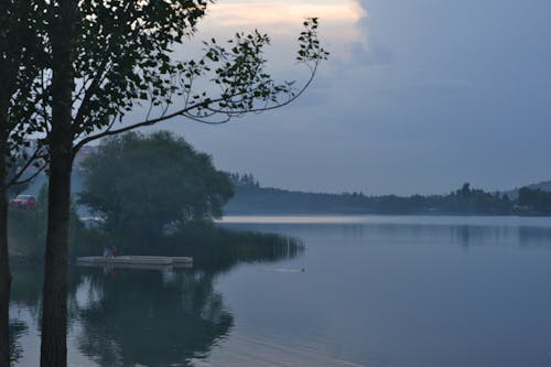 Darmowe zdjęcie z galerii z cień, jezioro, mgła