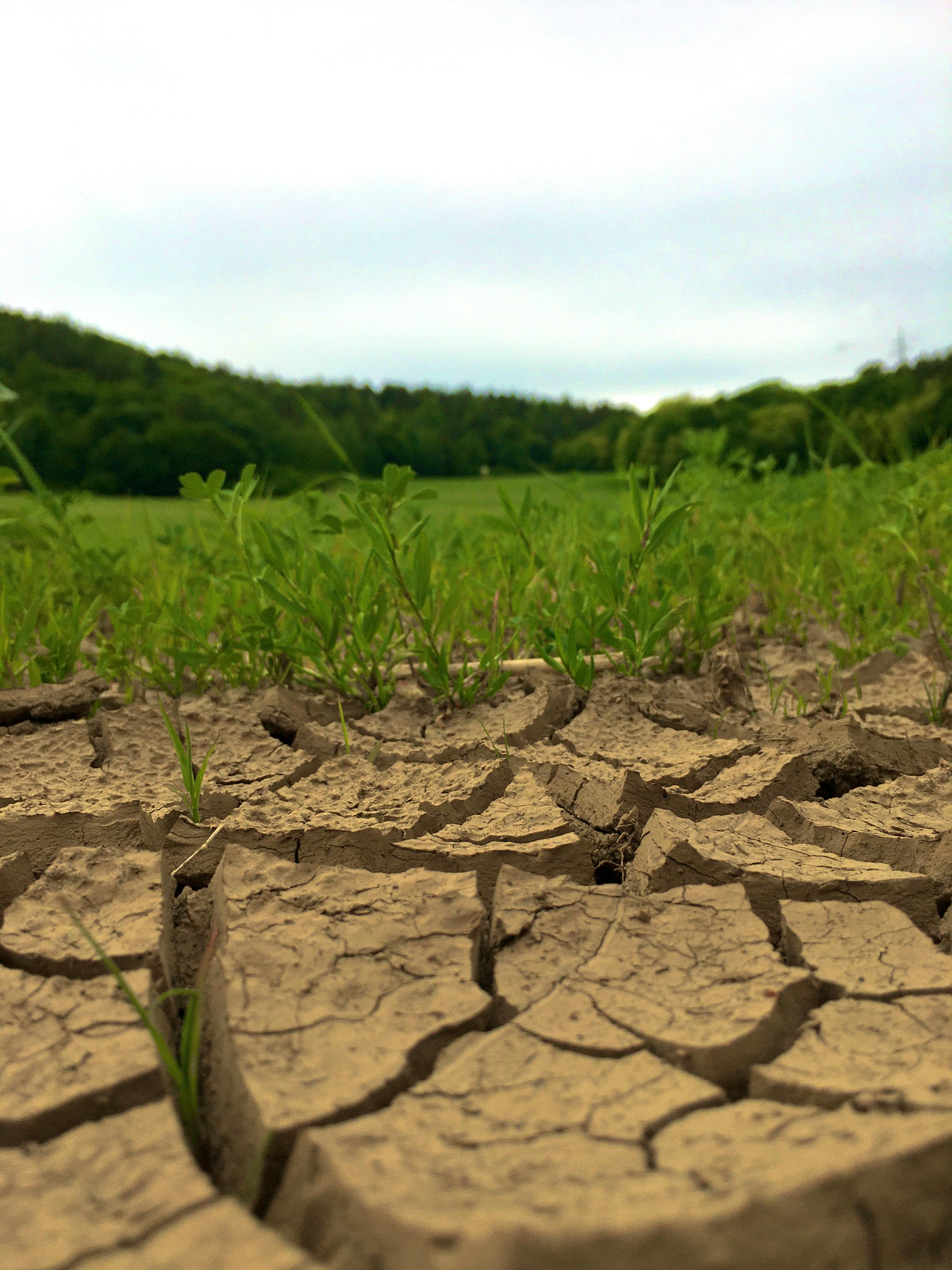  by Sun Pixel Photography