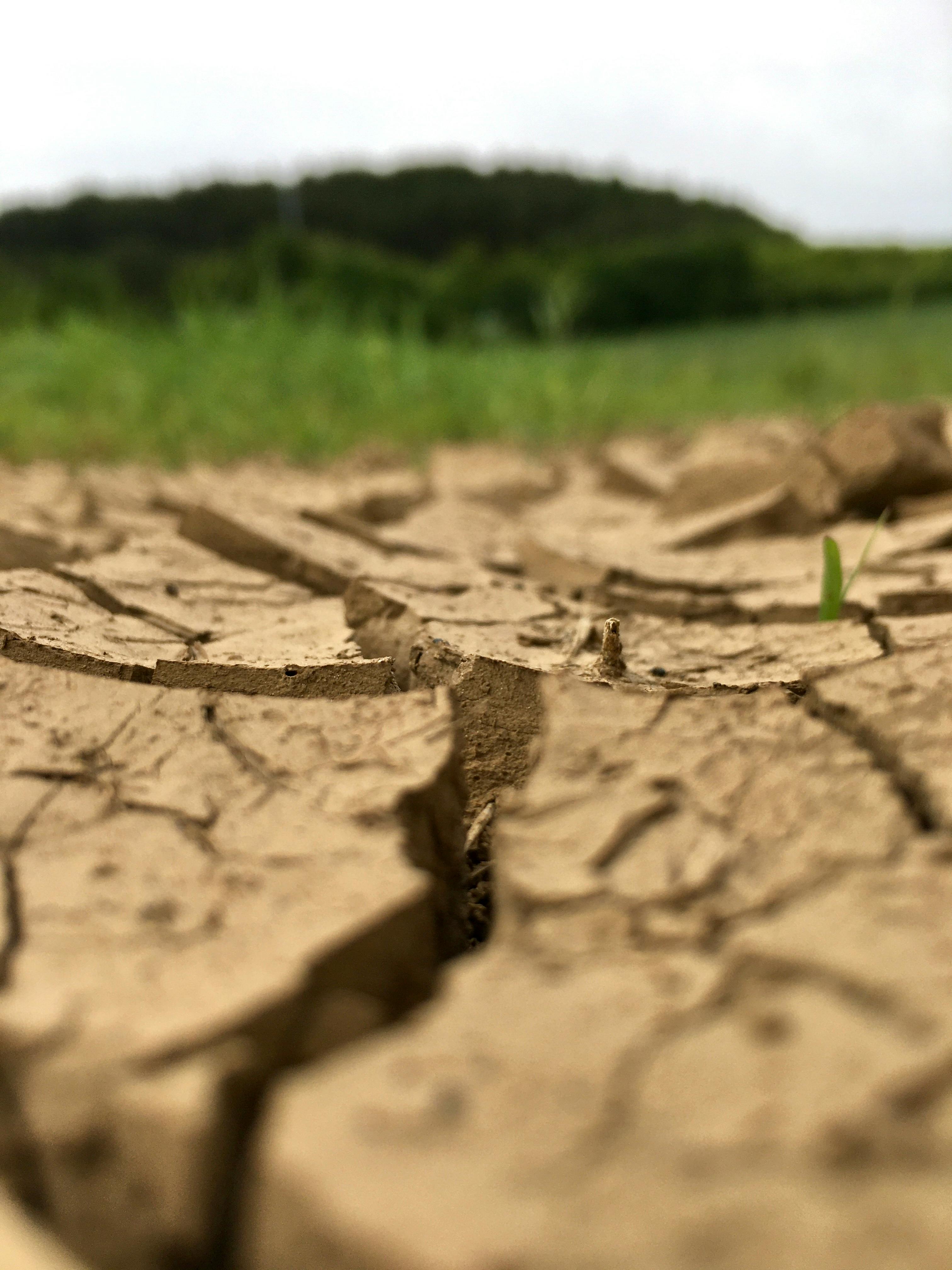  by Sun Pixel Photography