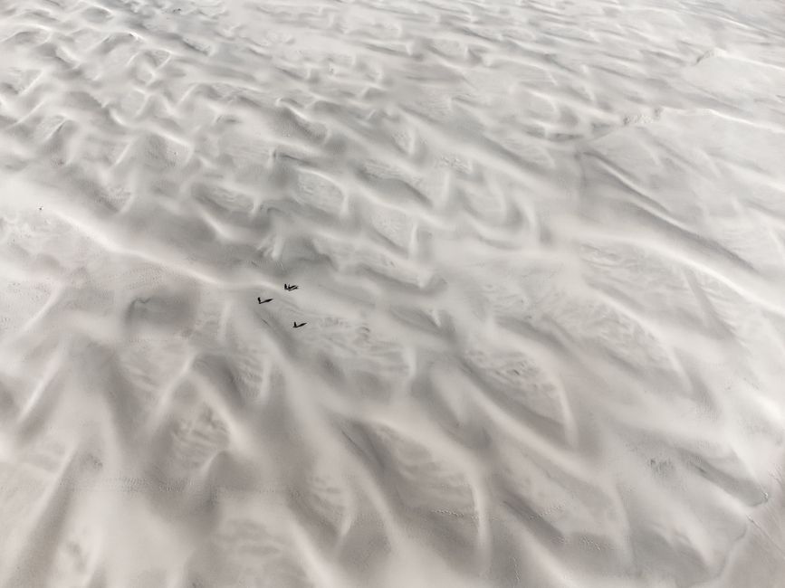 Stunning aerial view of Skagen's sand patterns highlighting natural beauty and texture.