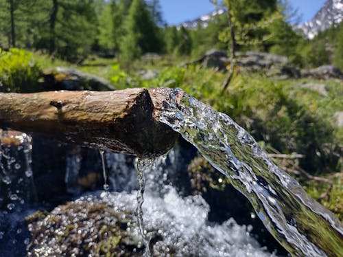 sorgente d'acqua