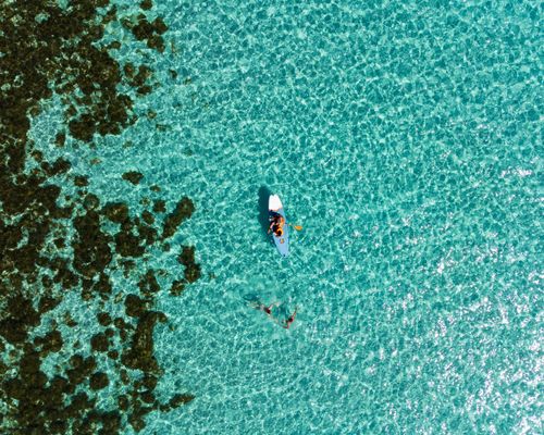 Free Aerial shot of a paddleboarder on a clear turquoise lagoon with visible corals. Stock Photo