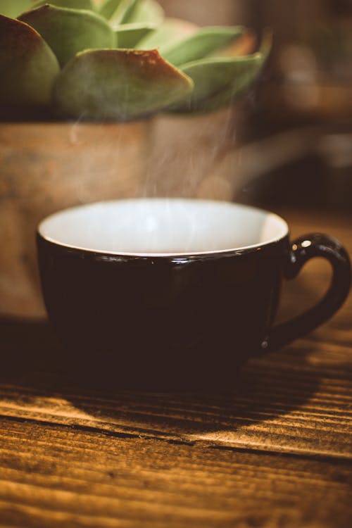 Cup of Coffee Beside Green Succulent Plant