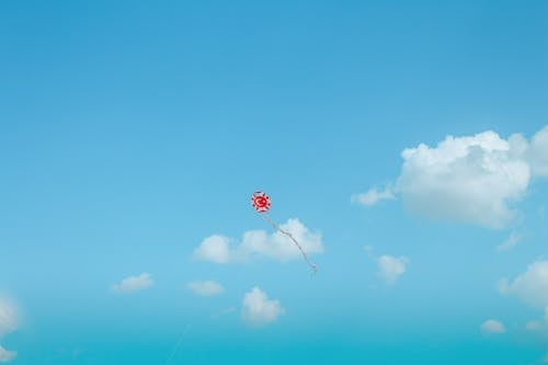 Immagine gratuita di aquilone, cielo, volando