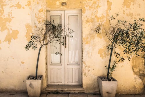 Plants Beside a Door