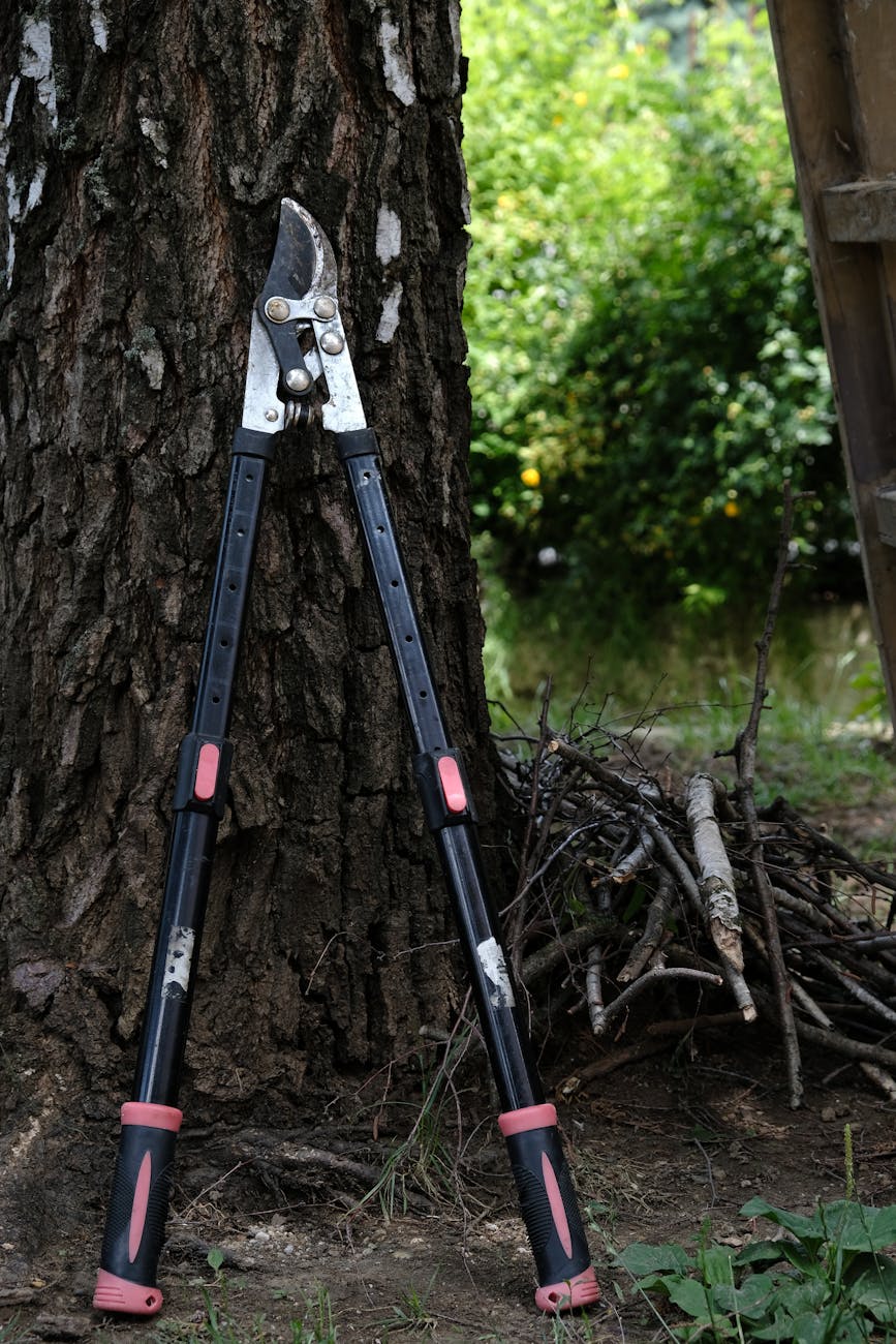 gardening pruning tools loppers UK