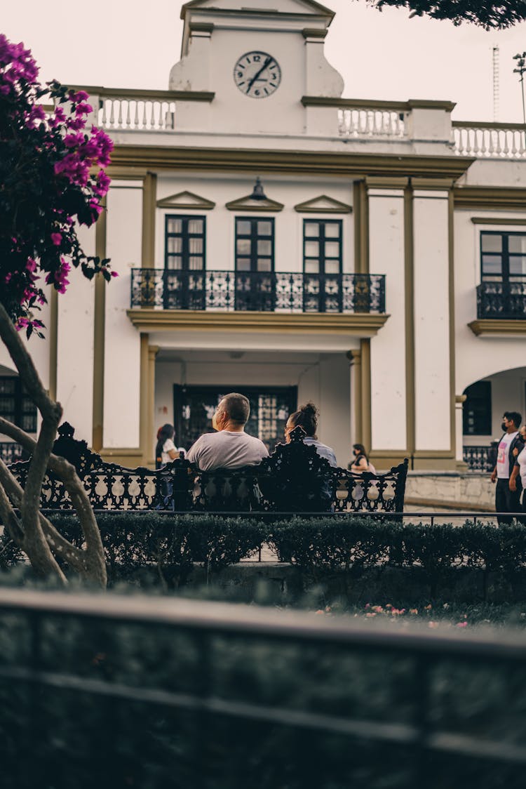 Back View Of A Man And Woman Sitting On The Bench