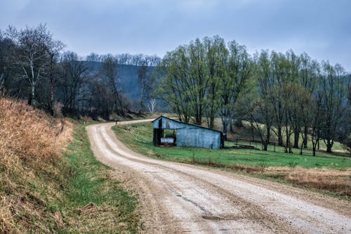 Kostenloses Stock Foto zu außerorts, bäume, feldweg