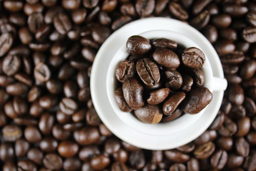 Free Coffee Beans in White Ceramic Cup Stock Photo
