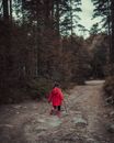 Woman in Red Coat Walking on Dirt Road Between Trees