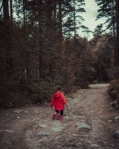 Free A child in a red coat walks through a serene autumn forest, creating a peaceful scene. Stock Photo